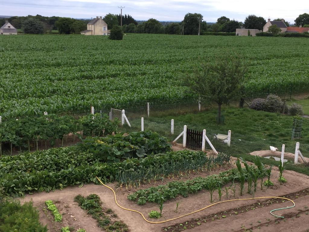 Apartamento Les Galets Tracy-sur-Mer Exterior foto